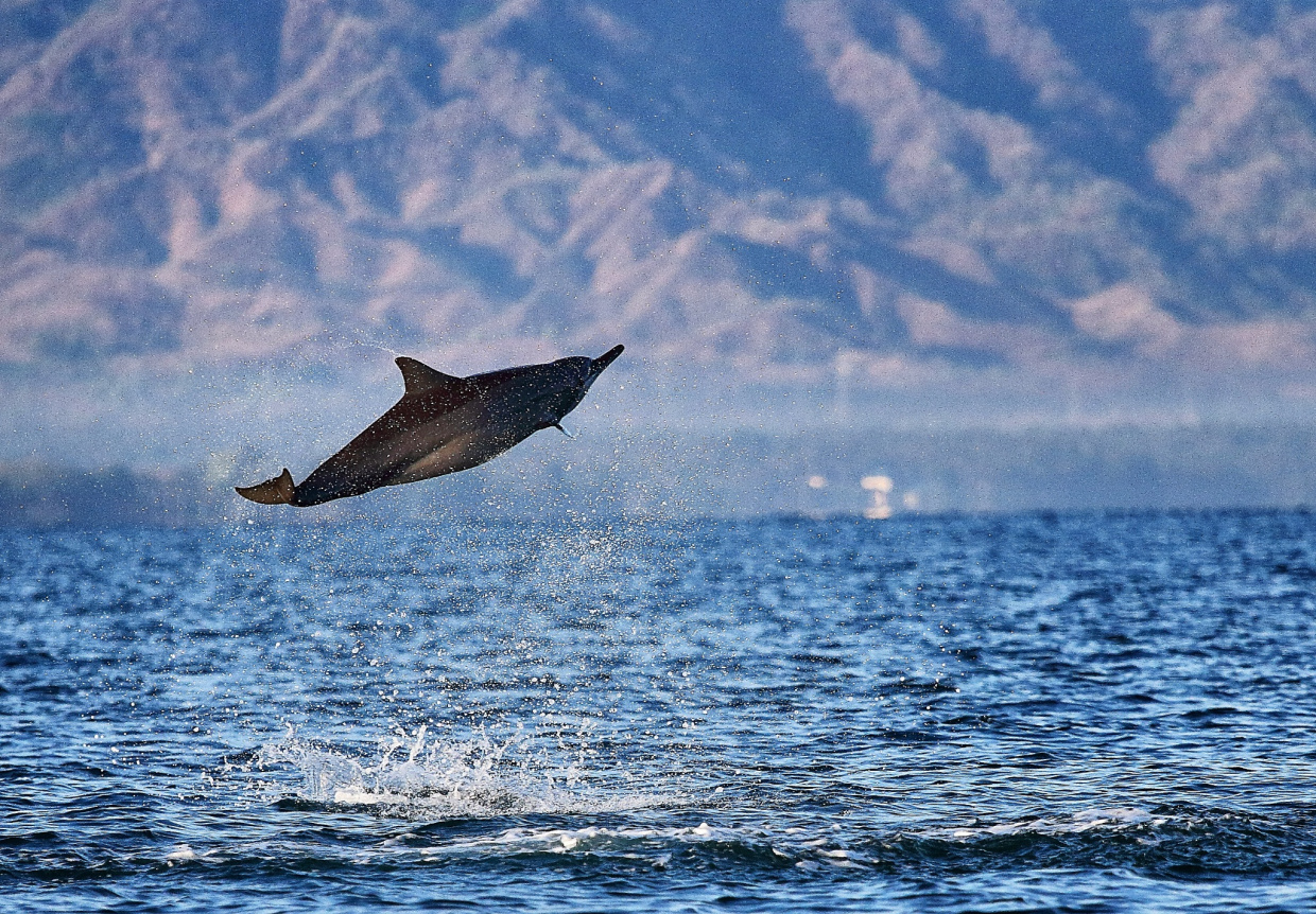 Travel Blog Reviews Private Touring Bali Indonesia Sharing Photography Tips recommended guide