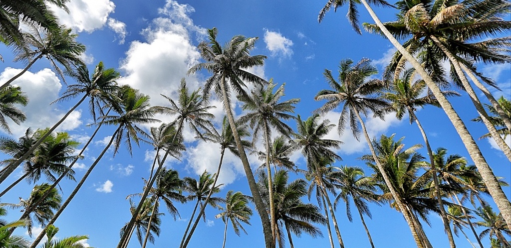 An Escape to Paradise in Fiji Islands by JetBlogger Jensen Chua