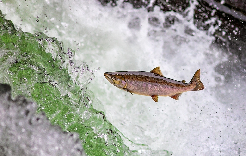 Why Eastern Hokkaido Should Be Your Next Photography Destination